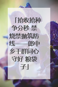 抢收抢种争分秒 禁烧禁抛筑防线——郎中乡干群同心守好 粮袋子